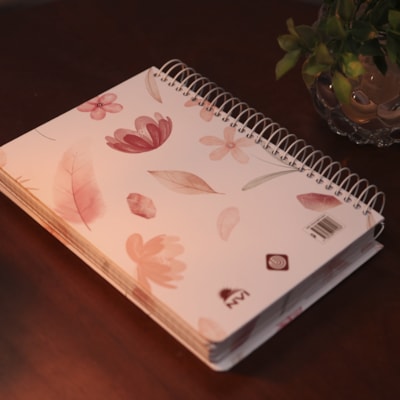 image_6c904be3-d07f-485e-8b3d-20e25fd6ea0b