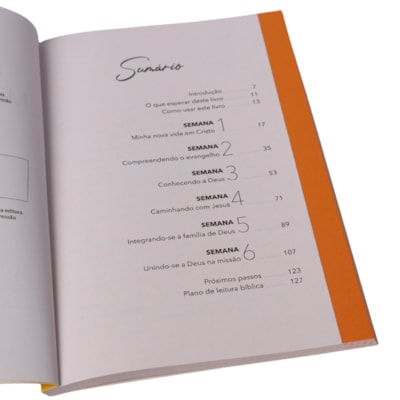 image_8a282091-b999-4e31-9d82-a84b29619b3c