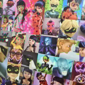 Segunda imagem do produto Miraculous Colorindo com 101 Adesivos