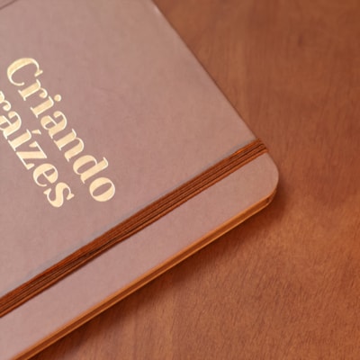 image_e32495bf-4e4c-4190-a68b-ad8d8691ce0f