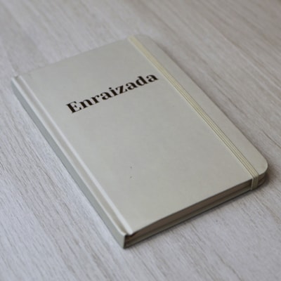 image_cf51ce14-35a2-482d-9f4c-cd1643b46cf2