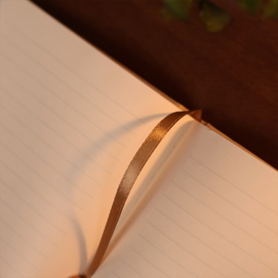 image_04065d73-5bd7-4b1d-a568-c766b07367f8