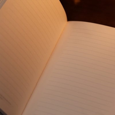 image_336dfde9-4b4a-4a69-ad42-7fdfd6b46fee