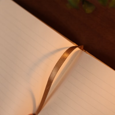 image_a8b5d949-1d3f-4d4b-8227-42584a392e09