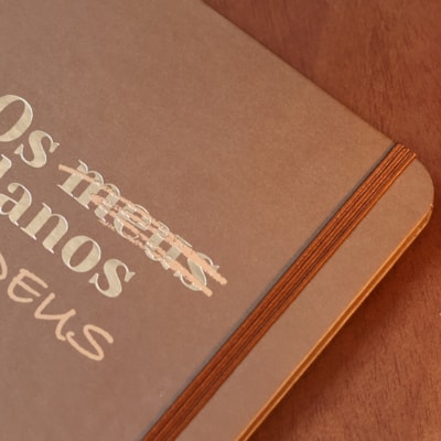 image_378432e7-7156-4e44-b230-febaa967ce1a