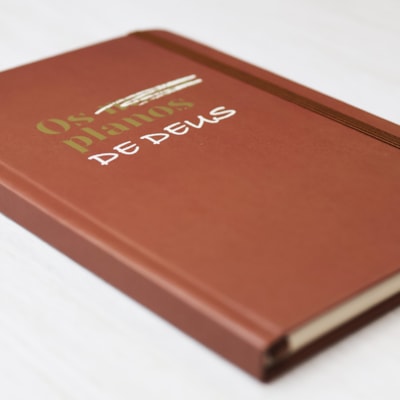 image_fcbed388-5457-455a-93bd-6a62ef272886