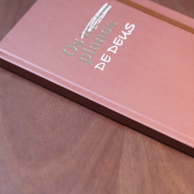 image_fd417dd7-c346-421e-8e0b-7b7756831ca5