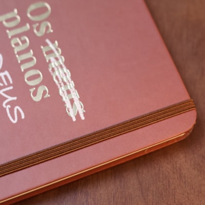 image_b00390b0-df46-4afa-8666-ebf319627ee6