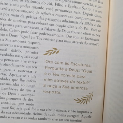 image_25f0866e-bff5-40df-923c-6d68c8e2c79e