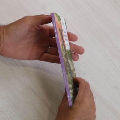 image_0ae89a41-ae3d-4d42-91f5-0e5aad862249