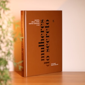 Segunda imagem do produto Mulheres do Secreto | Viviane Martinello