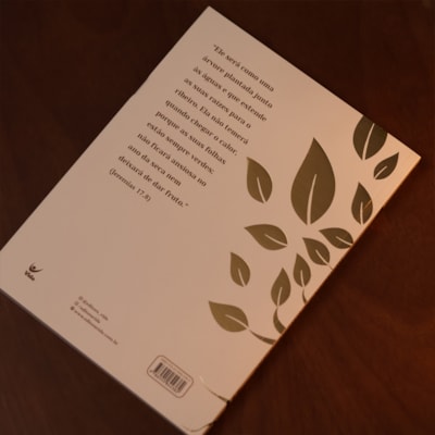 image_c1efe1a6-62f6-4123-936b-044450046640