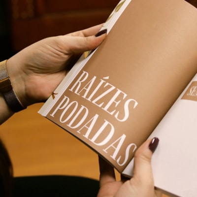 image_827f0776-8ce0-4993-a5b9-d82f91b373fe