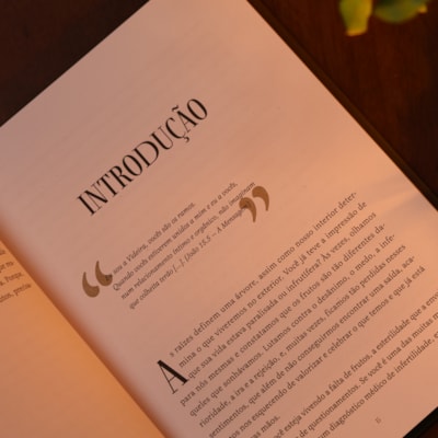 image_e4d5e259-fa4e-45da-b2d7-14f2e91d6bd6