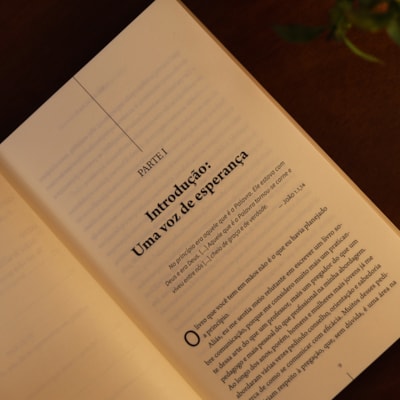 image_ada0ac83-c30b-4b36-80d7-059369990311