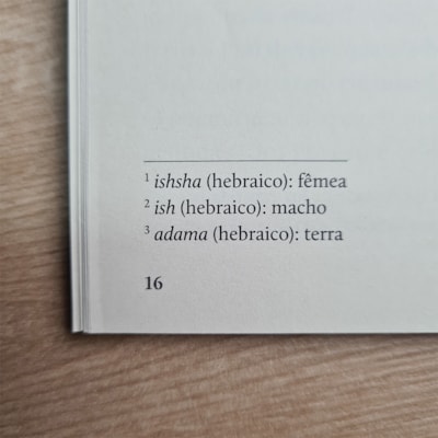 image_8a12c843-2c7a-4f16-8bb7-d4a7bf458716