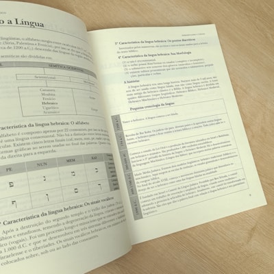 image_79bde100-815c-4f11-9449-496ce6beeabb