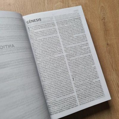 image_69c53ce8-cda0-48db-ba09-2d9030fe2fe2