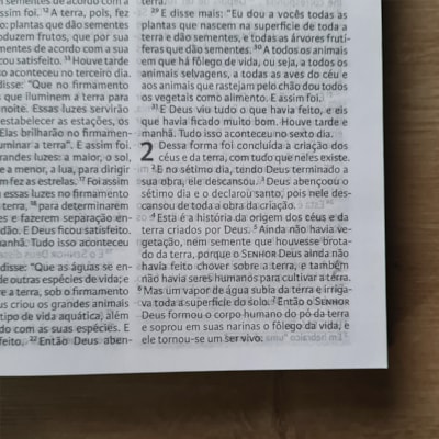 image_8518ec36-d1e1-44cc-9686-d61078073b43