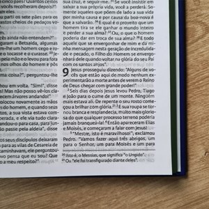 Nova Bíblia Viva Alegria | Letra Normal | Capa Dura