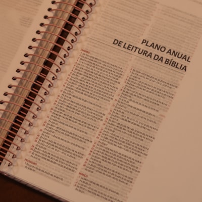 image_08ed8aa6-5ac7-4638-9114-932c672289d9