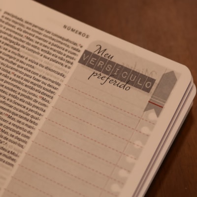 image_cd342c93-59d2-4554-ae76-b8af980cf5ca