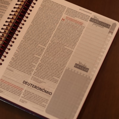 image_d5566ba6-388b-40b0-874f-2185d95a2281