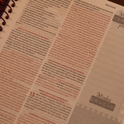 image_8aecdd4f-120d-4fd2-85bd-63b8ef790c66