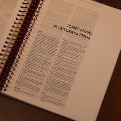 image_e51b5b53-0f4c-452e-b288-bc4f1ab2142e