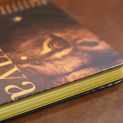 image_9c5177ce-9918-4d54-aecc-44a738238b5b