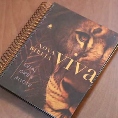 image_9ad82e56-0378-4ef4-9678-57f7ce912c3c