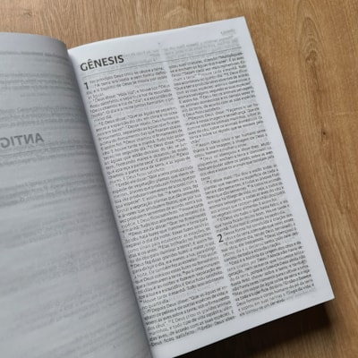 image_b54fe56a-000e-42ce-b051-b685c070eb23