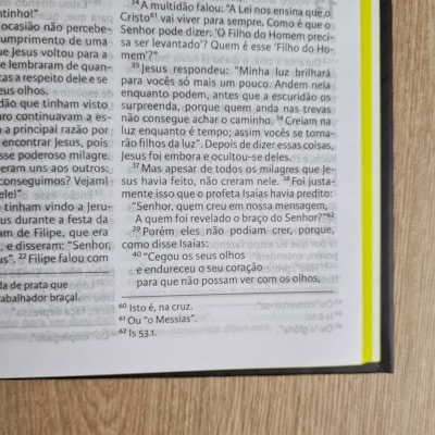 image_b1071392-85f6-4d09-b761-6c8a67d83ee1