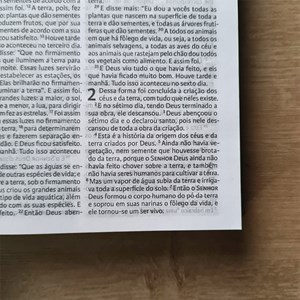 Nova Bíblia Viva | Escudo | Capa Dura