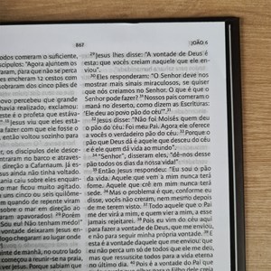 Nova Bíblia Viva Leão Rugindo  | NBV | Letra Normal | Capa Dura