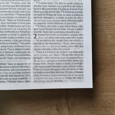 image_75c3d67b-f8a4-407a-a453-c5ea7f2b14a8