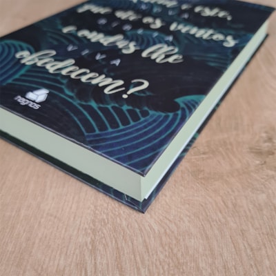 image_dc1bcd6b-4ddd-4c37-9590-093f4b86f067