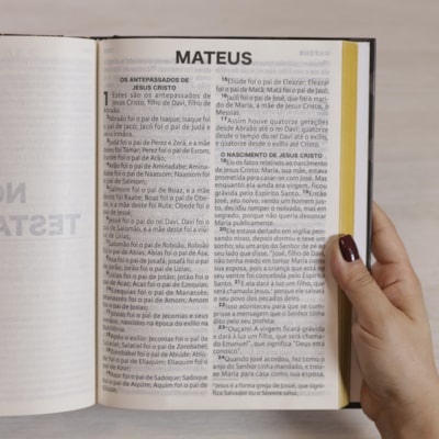 image_e9ca4025-e30e-47ed-b57f-2e749a33d93f