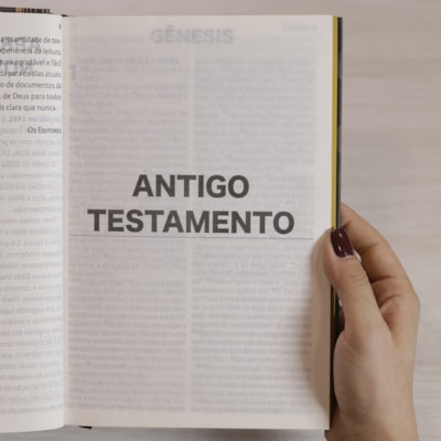 image_4408975a-814c-4a6d-bf48-6aeb3719edcc