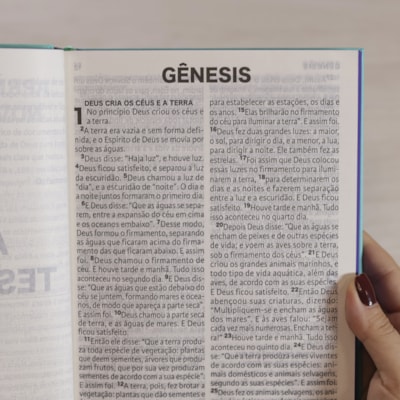 image_21b31a8e-ddec-4aa2-b12d-a67bc94be8e7