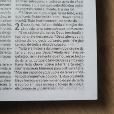 image_1c657716-225a-46da-ae4b-a8ab9fe893cb