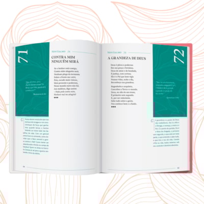 image_ca9cfc03-bd5c-4126-9509-b9aaa61feee0