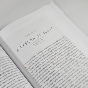 Novo Comentário Bíblico Vida | João o Evangelho do Amor | Pablo A. Deiros