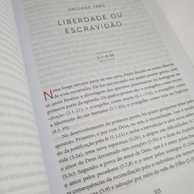 image_1b6687d5-f5ca-4b51-930b-32d0ee4f961d