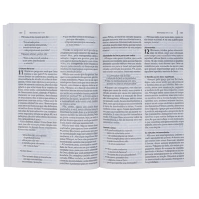 image_3da3bccc-6a80-4443-ba6f-2bb2c22a4b5d