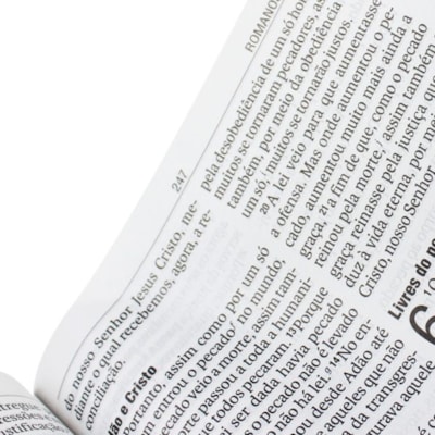 image_8b6d1bca-4169-45e0-be37-74a33b1f044e