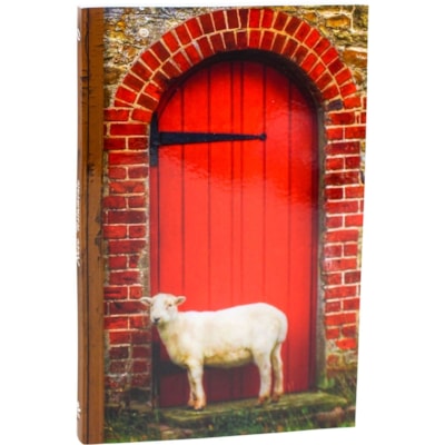 Imagem Principal - 5c8a1d21-3f4e-49ab-a8e5-8a3d5e508124