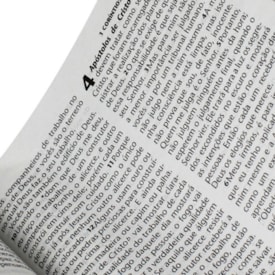 Segunda imagem do produto Novo Testamento | NTLH | Letra Grande