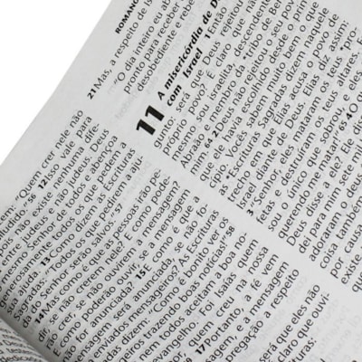 image_44e98582-3de9-4db0-9f57-950b21f01645