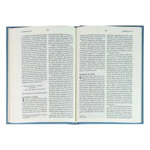 Novo Testamento | NVI | Leitura Perfeita | Capa Dura